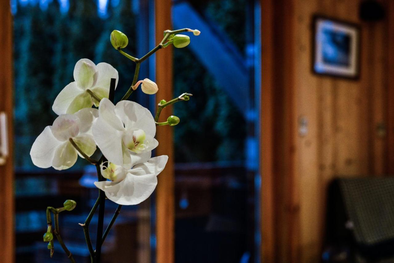 Yeti Lodge Rooms Argentiere Bagian luar foto